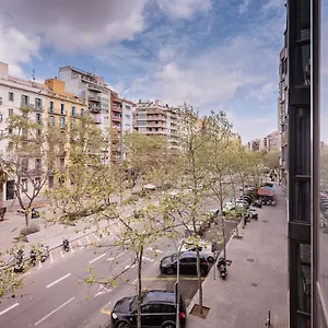 Sweett - Avenida Roma , Barcelona España